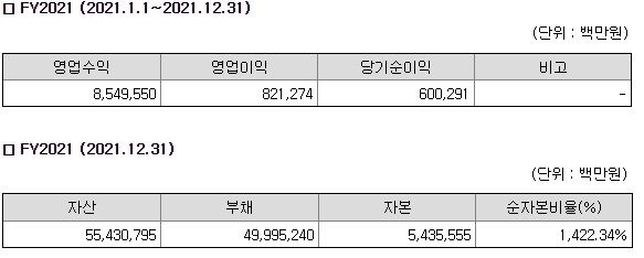 2021년 기준 사업보고서. [사진=금융감독원 전자공시시스템 제공] 