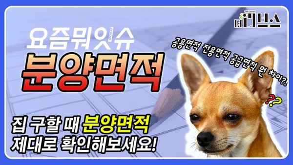 [사진=김상환 기자]